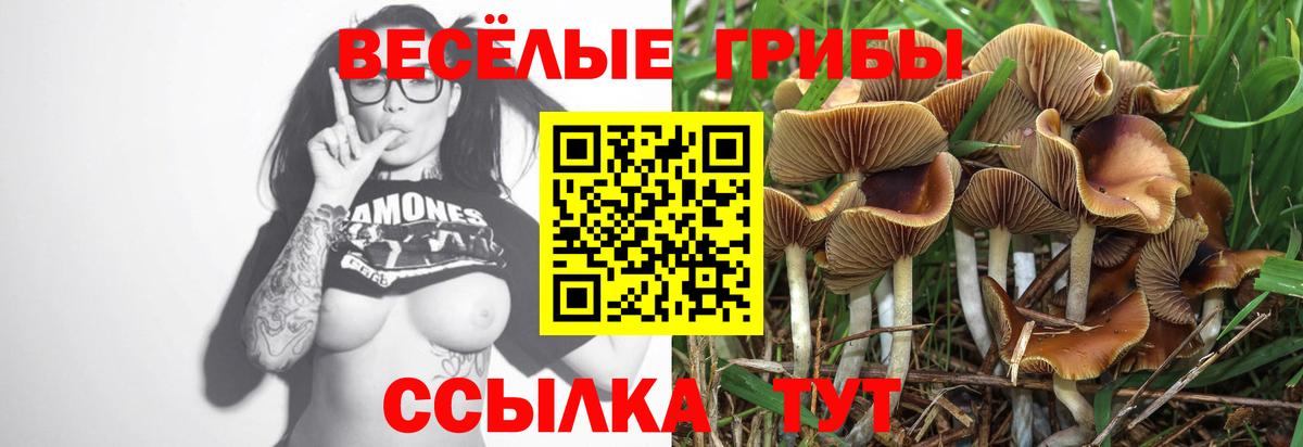 Галлюциногенные грибы мицелий  Вход с VPN  Галлюциногенные грибы мухоморы  Арзамас 
